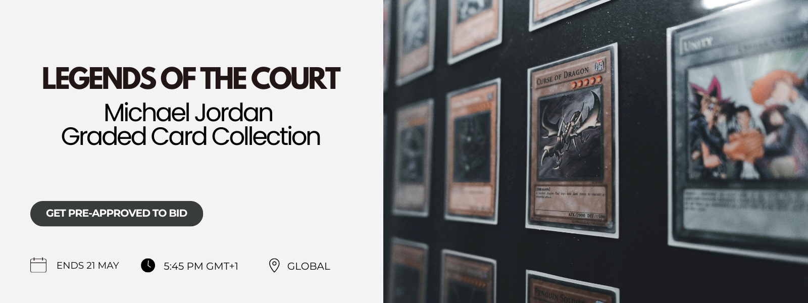 LAX Auction Banner 1