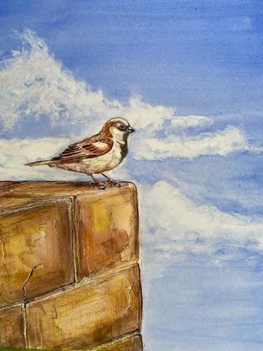 When I Turned Into A Bird 1