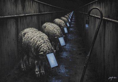 Cattle Class
