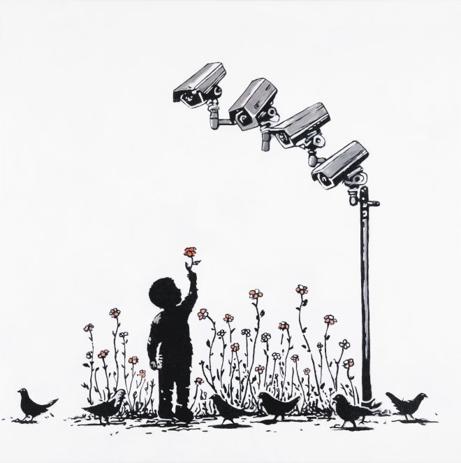 A Flower for a Viewer